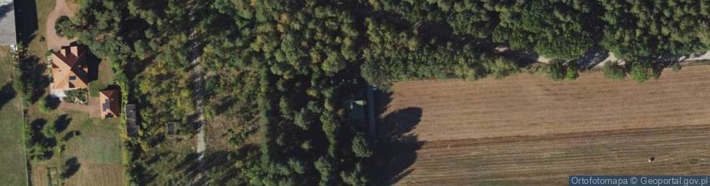 Zdjęcie satelitarne Aries Adam Drożdżewicz