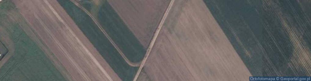 Zdjęcie satelitarne Arkadiusz Pałubicki - Działalność Gospodarcza