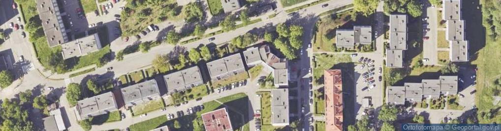 Zdjęcie satelitarne Art C