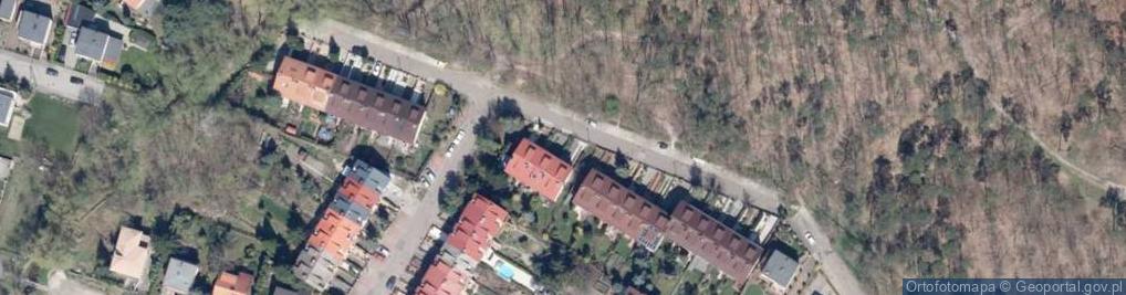 Zdjęcie satelitarne Arte - Edyta Hankowska-Czerwińska