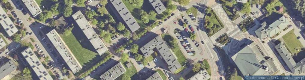 Zdjęcie satelitarne Artfot R Bąk G Gaj
