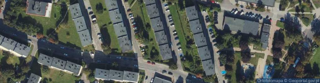Zdjęcie satelitarne Artmo Monika Kardas