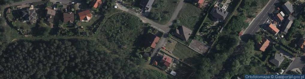 Zdjęcie satelitarne Artur Piechocki