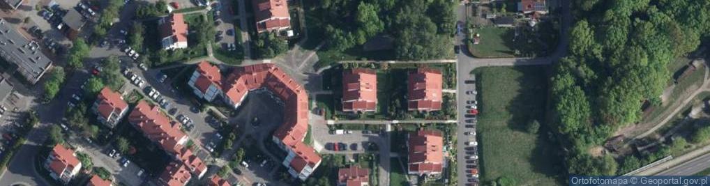 Zdjęcie satelitarne "Asia" Angelika Adamik