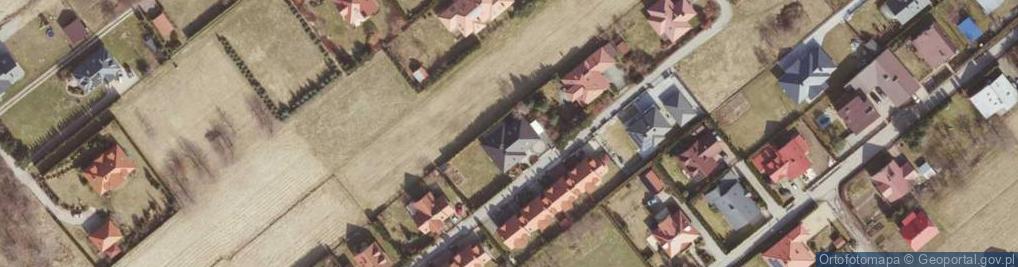 Zdjęcie satelitarne Atriplex - Sławomir Łoboda