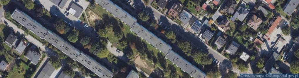 Zdjęcie satelitarne Aurel Medves