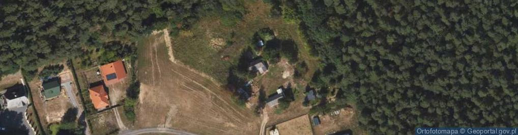 Zdjęcie satelitarne Auto - Pol