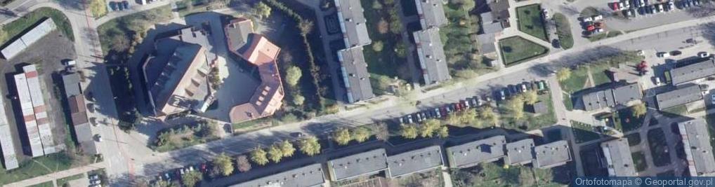 Zdjęcie satelitarne Avena Agata Budzyła-Lewandowska