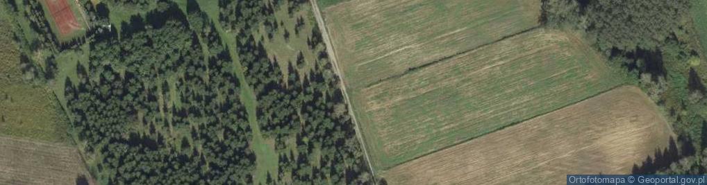 Zdjęcie satelitarne Aventia