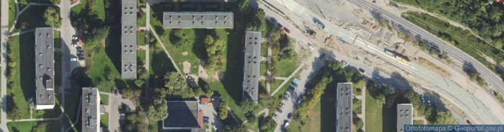 Zdjęcie satelitarne Azorek Wszystko Dla Zwierząt