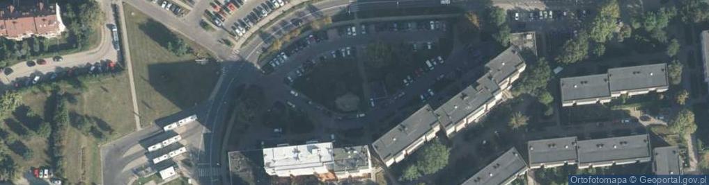 Zdjęcie satelitarne B&w Marianna Brzezińska