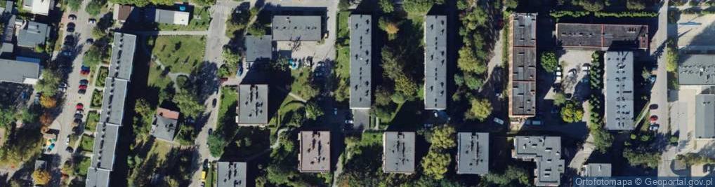 Zdjęcie satelitarne BAJA