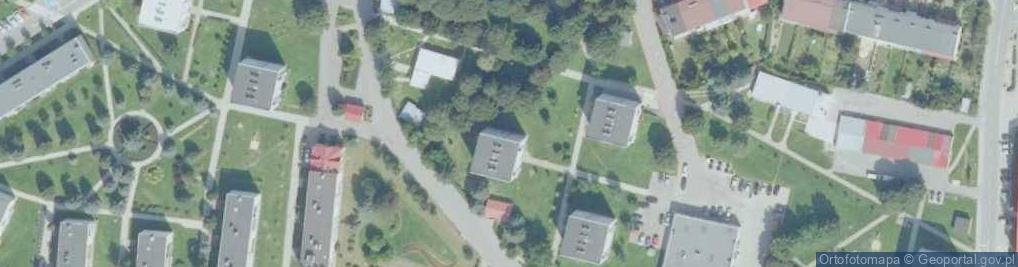 Zdjęcie satelitarne BAMI