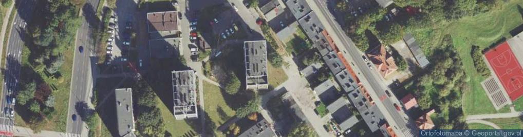 Zdjęcie satelitarne Barbara Bielińska Jaroszyk Robert Rudnicki