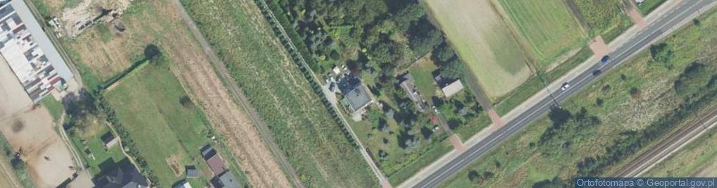 Zdjęcie satelitarne Barbara Kurzaj Kidco Toys