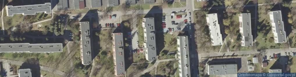 Zdjęcie satelitarne Beata Zams - Działalność Gospodarcza