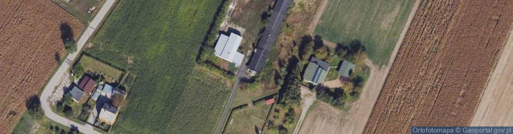 Zdjęcie satelitarne Bird