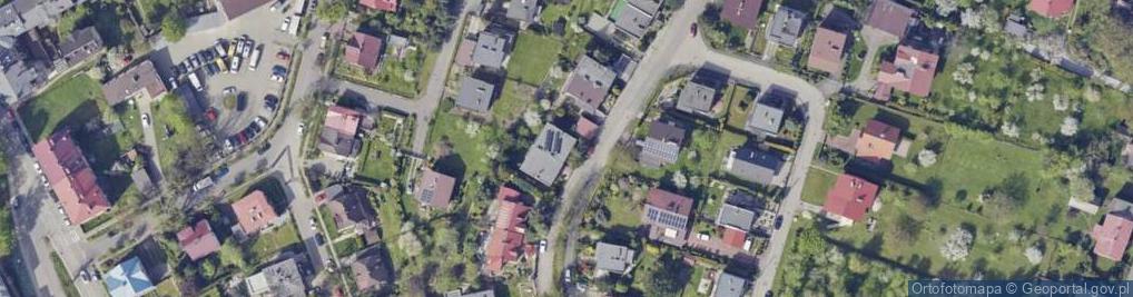 Zdjęcie satelitarne Bloom Katarzyna Świergała i Katarzyna Gawlik