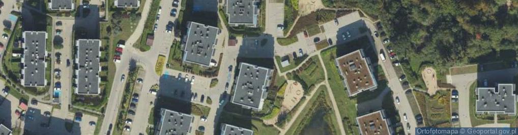 Zdjęcie satelitarne Blueberry Artur Leśniak