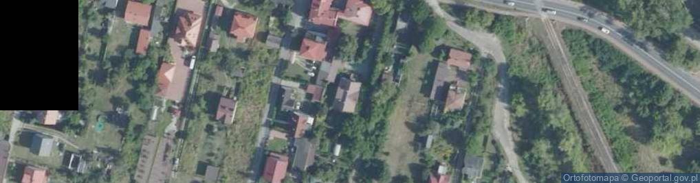Zdjęcie satelitarne Bogdan Dzierzgwa - Działalność Gospodarcza