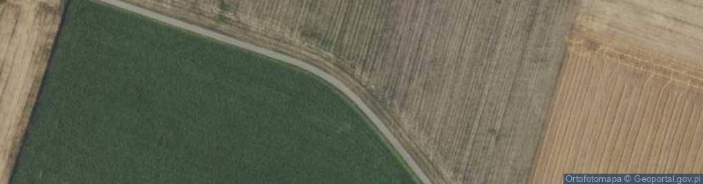 Zdjęcie satelitarne Bogdanowicz Mariusz i Henryka