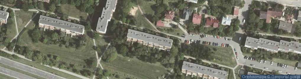 Zdjęcie satelitarne Bogumiła Zajcew