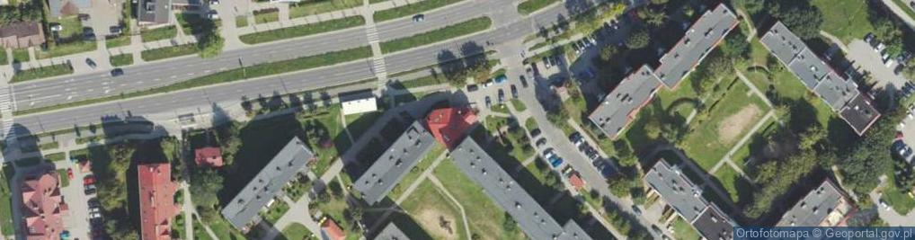 Zdjęcie satelitarne Bor Tun Borkowski Wojciech i Tunkiewicz Mieczysław