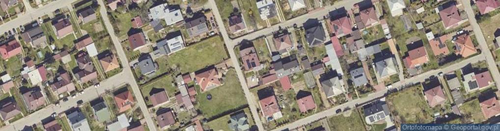 Zdjęcie satelitarne BORG