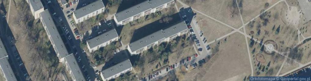 Zdjęcie satelitarne Brain New Academy Kamila Surma