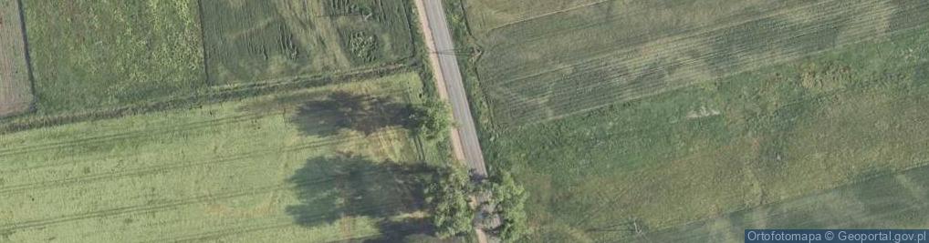 Zdjęcie satelitarne Brams - Szkolenie Psów, Dogoterapia