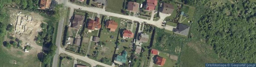 Zdjęcie satelitarne Branas Roman Regeneracja Pomników