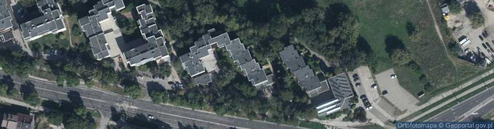 Zdjęcie satelitarne Bujak