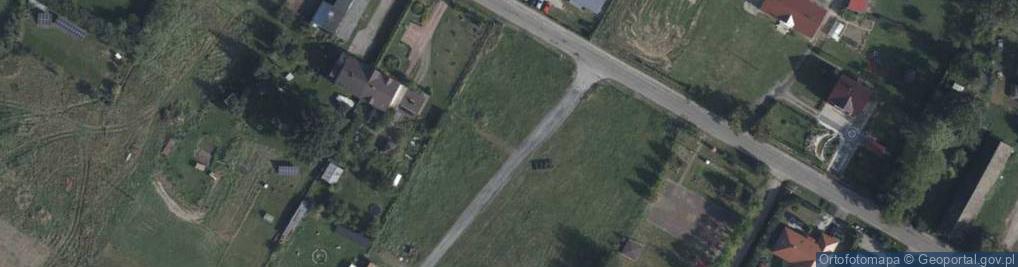Zdjęcie satelitarne Calico Aldona Ogrodowicz Dąbrowska
