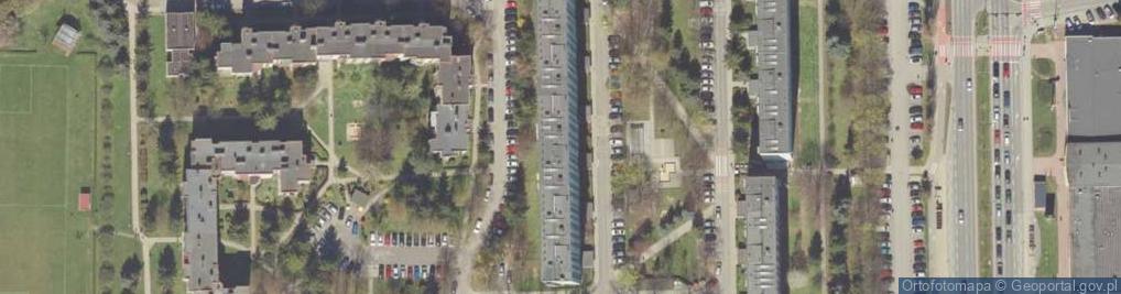 Zdjęcie satelitarne Cambella Izabela Piekarczyk