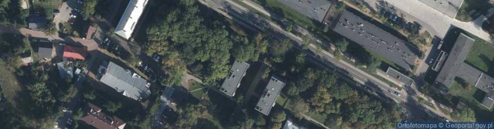 Zdjęcie satelitarne Carpinus Idee Sławińska