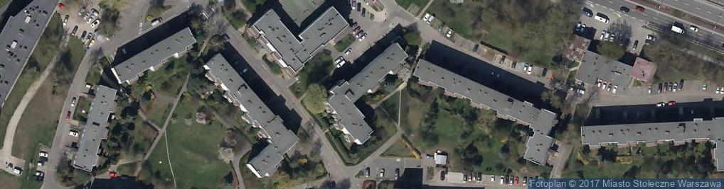 Zdjęcie satelitarne Cedr Joanna Sadowska