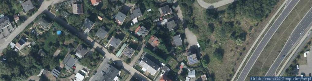 Zdjęcie satelitarne Cedrus Jerzy Franciszek Lewandowski