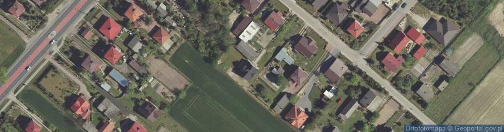 Zdjęcie satelitarne Cieniuszek Zdzisław