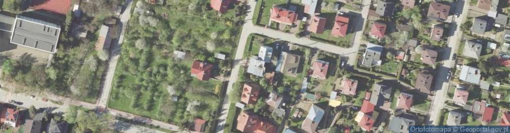 Zdjęcie satelitarne Cocoon - Urszula Kulczyńska
