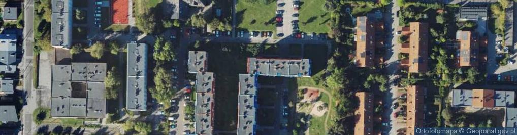 Zdjęcie satelitarne Collistar Patrycja Gwiazdowska