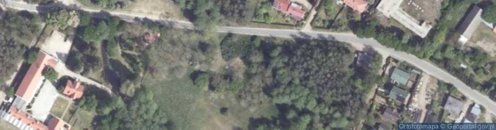 Zdjęcie satelitarne "Colored" Dariusz Wtorkowski