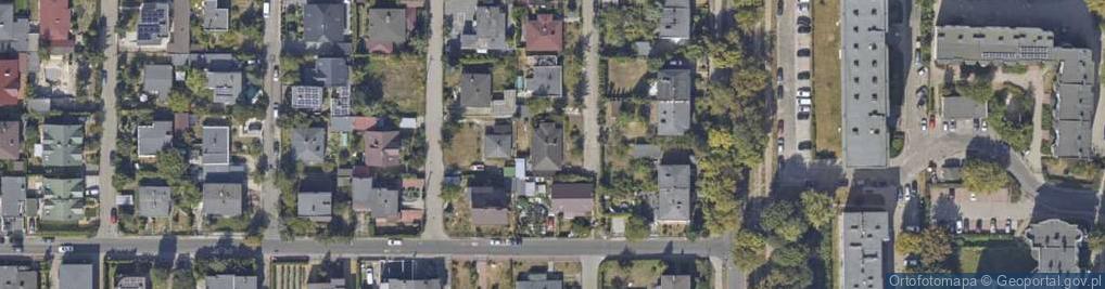 Zdjęcie satelitarne Conficiens Katarzyna Krużewska