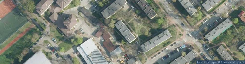Zdjęcie satelitarne Consulting