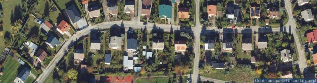 Zdjęcie satelitarne Custom Zebra