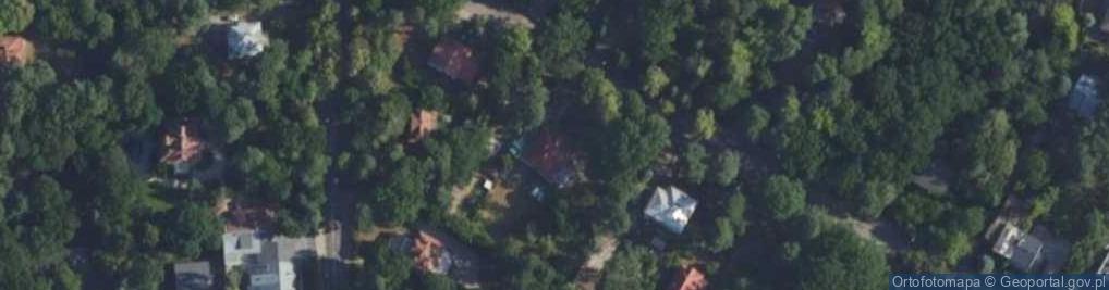 Zdjęcie satelitarne Czereyski Michał Zaremba Czereyski