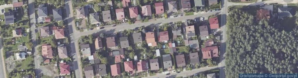 Zdjęcie satelitarne Czyż Remigiusz GOspółka Rol.