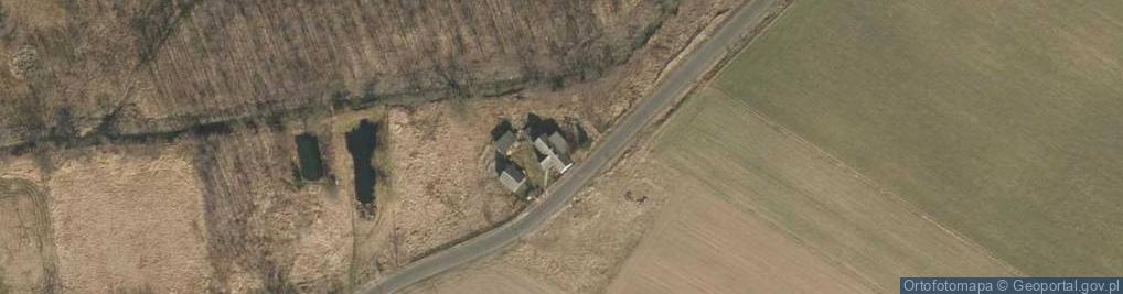 Zdjęcie satelitarne D M F Planet