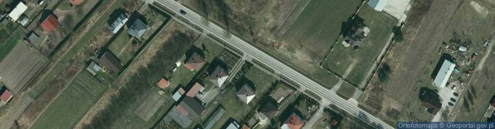 Zdjęcie satelitarne D R z E w A i K R z E w Y O z D O B N E - Tomasiak Wacław