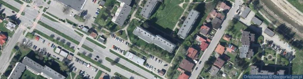 Zdjęcie satelitarne D1 Consulting Group Stanisław Dywan