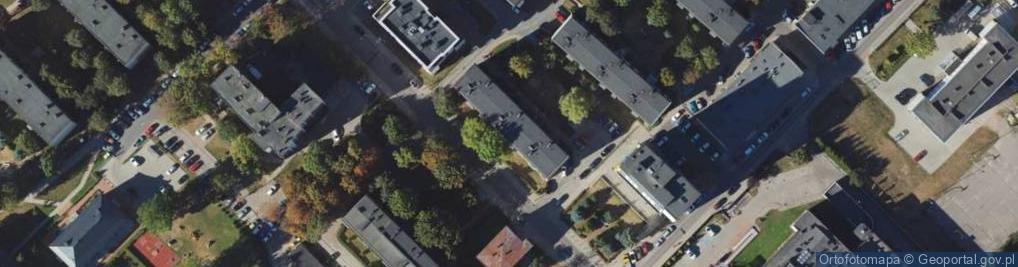 Zdjęcie satelitarne Dagmara Aneta Polkowska